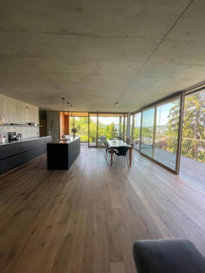 Design apartment with views! short distance to Basel City Center